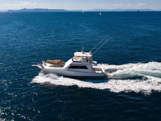 Viking Yachts 53 Convertible