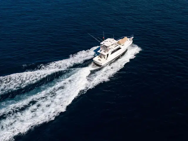 Viking Yachts 53 Convertible