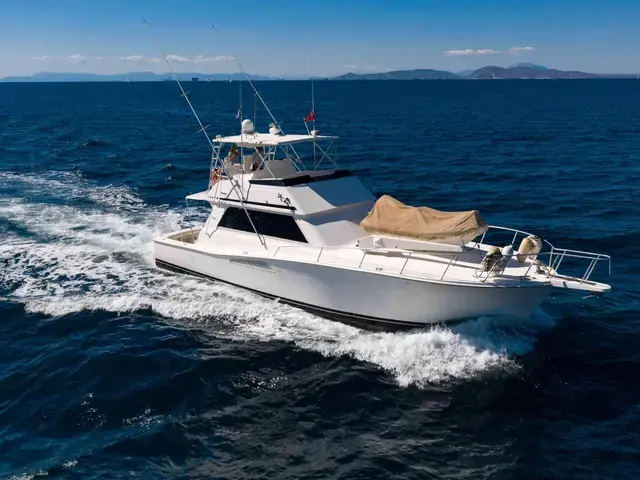 Viking Yachts 53 Convertible