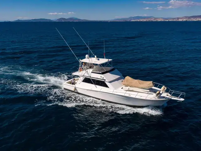 Viking Yachts 53 Convertible