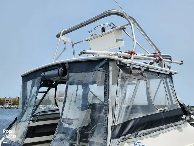 Luhrs 340