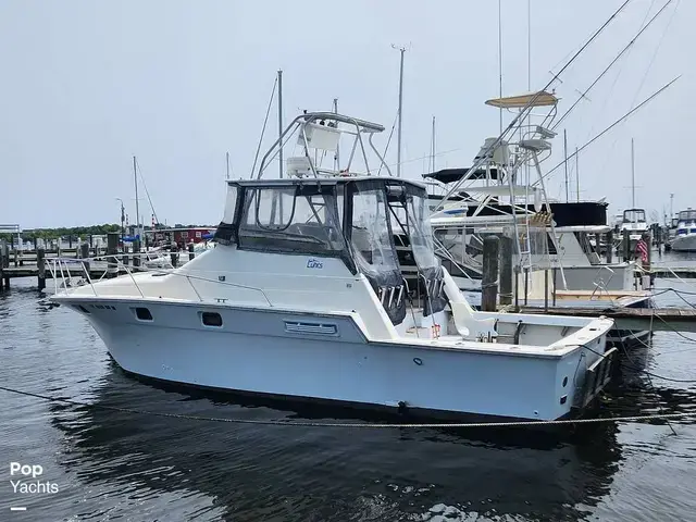 Luhrs 340