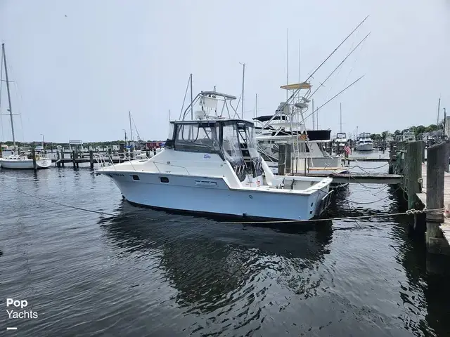 Luhrs 340