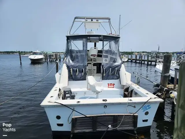 Luhrs 340