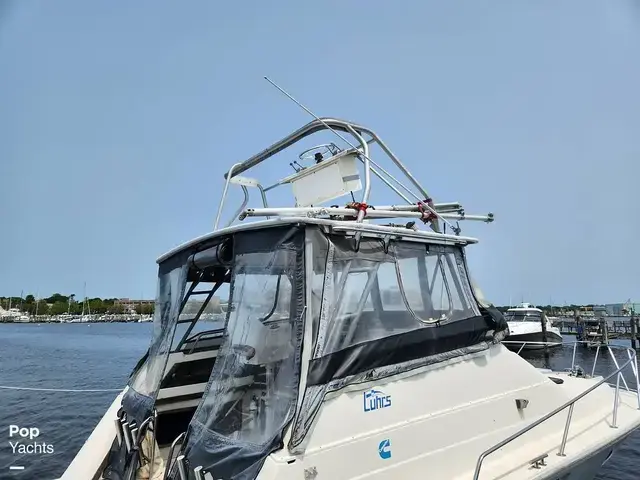 Luhrs 340