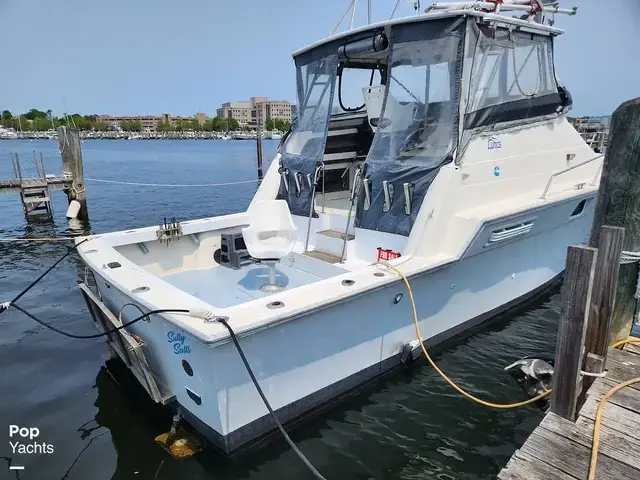 Luhrs 340