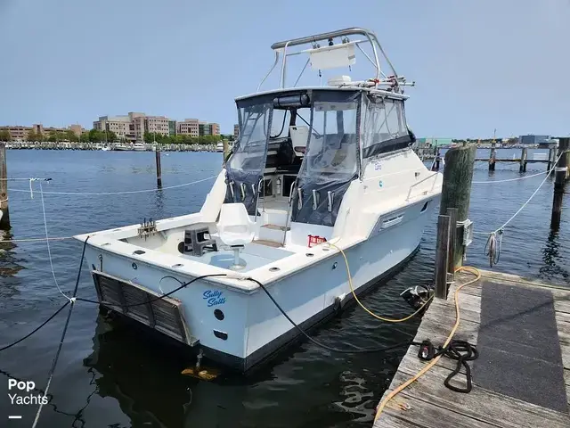 Luhrs 340