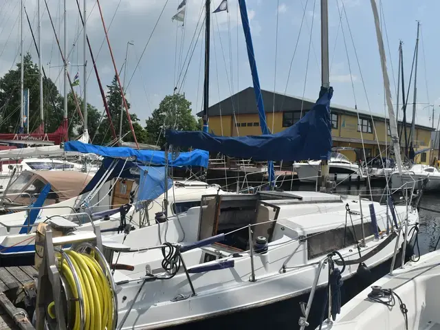 Neptun 26