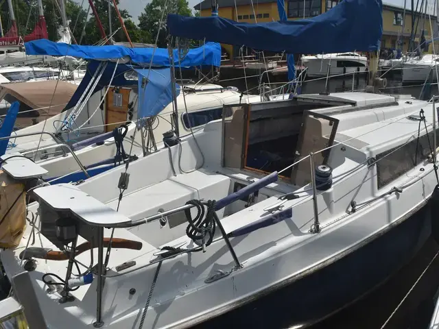 Neptun 26