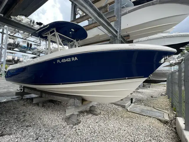 Cobia 256 CC