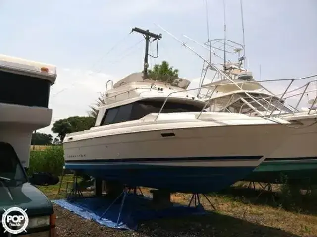 Bayliner Cierra 2566