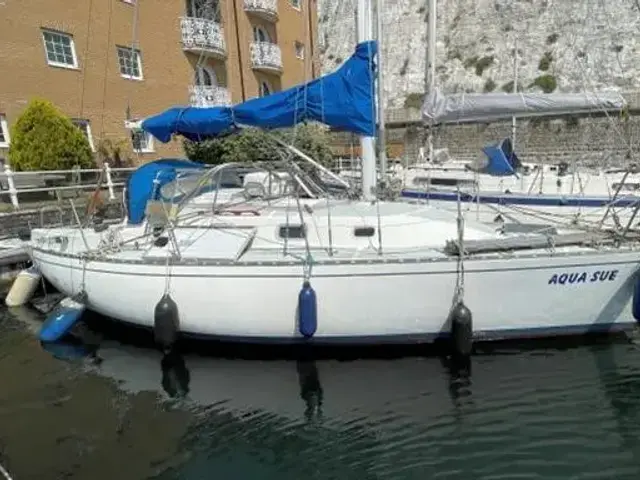 Sloop Miura 31