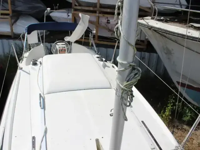 Macgregor 26m