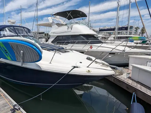 Sea Ray Sundancer 320