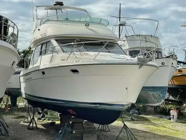 Bayliner 41