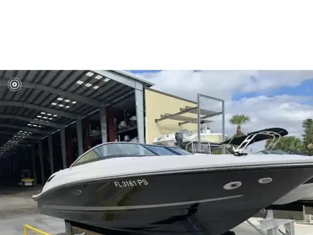 Sea Ray 230