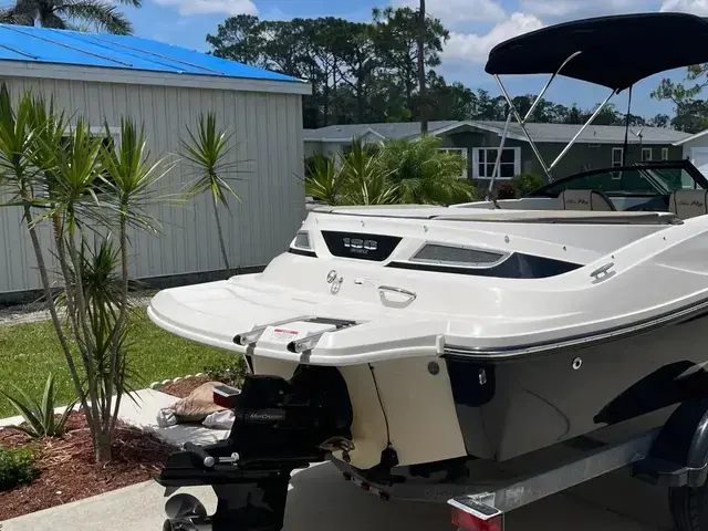 Sea Ray 190 Sport