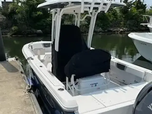 Robalo 230