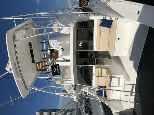 Viking Yachts 46 Bill Fish