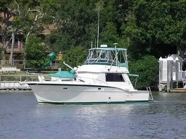 Hatteras 42