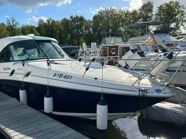 Sea Ray Sundancer 305 HT