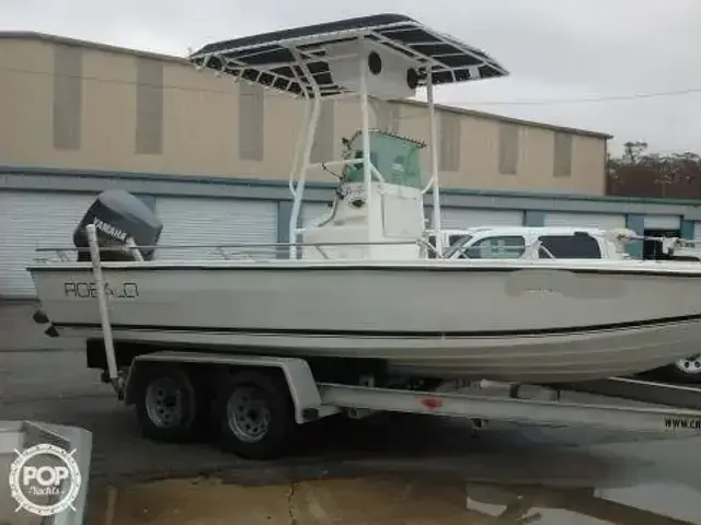 Robalo 2020 Center Console Bay 20