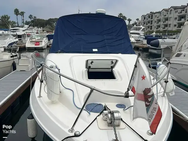 Bayliner 2655 Ciera