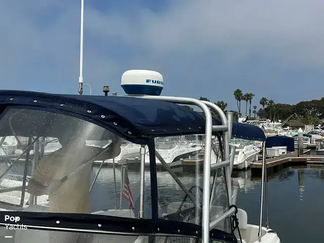 Bayliner 2655 Ciera