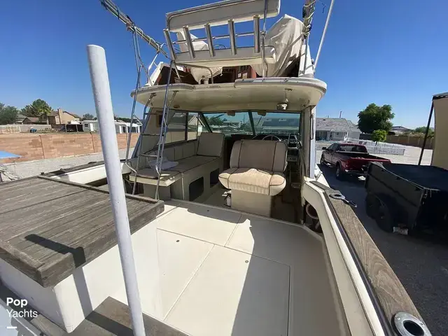 Sea Ray 270 Sportfish