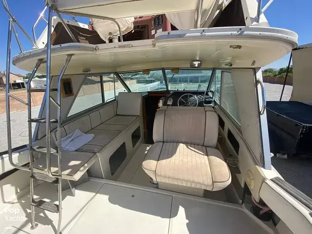 Sea Ray 270 Sportfish