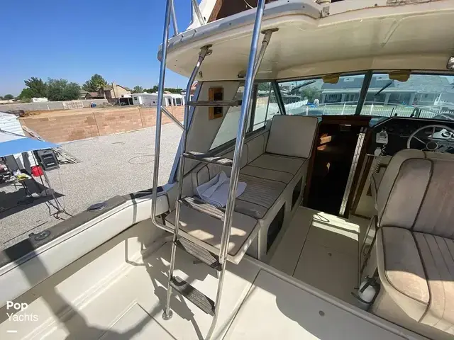 Sea Ray 270 Sportfish