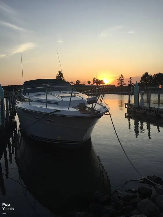 1987 Sea Ray 390 express cruiser