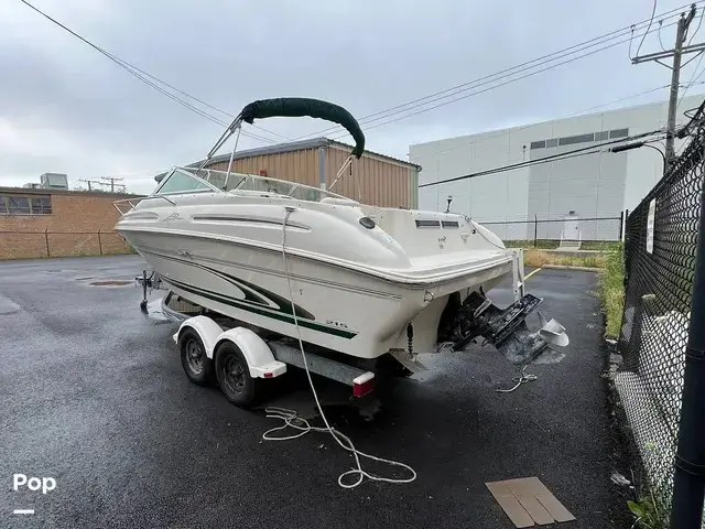 Sea Ray 215 Express Cruiser