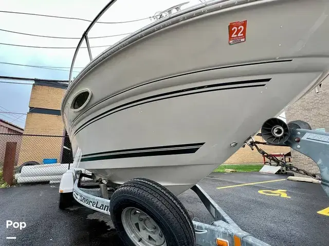 Sea Ray 215 Express Cruiser