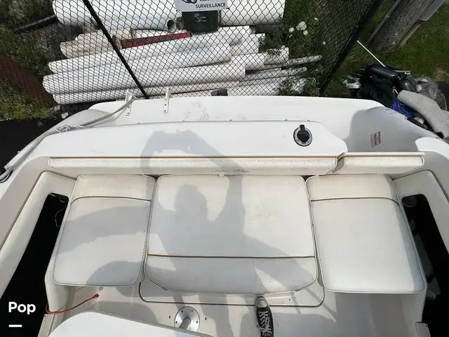 Sea Ray 215 Express Cruiser