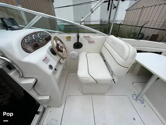 Sea Ray 215 Express Cruiser