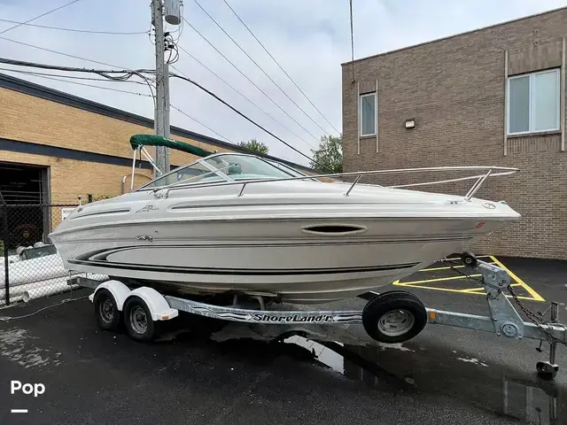 Sea Ray 215 Express Cruiser