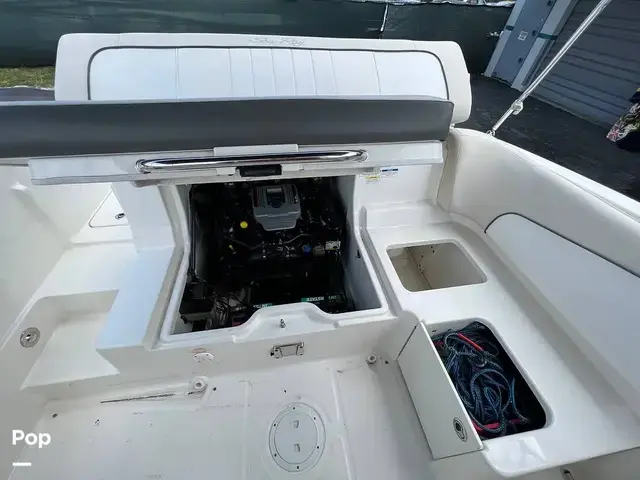 Sea Ray 220 Sundeck