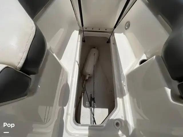 Sea Ray 220 Sundeck