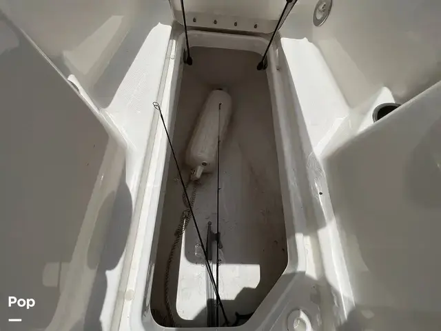 Sea Ray 220 Sundeck