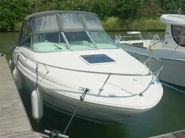 Sea Ray 215 Express Cruiser