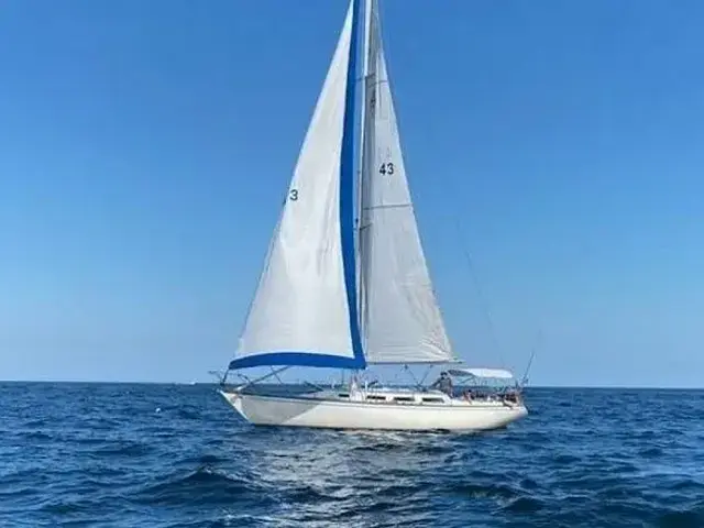 Catalina 38