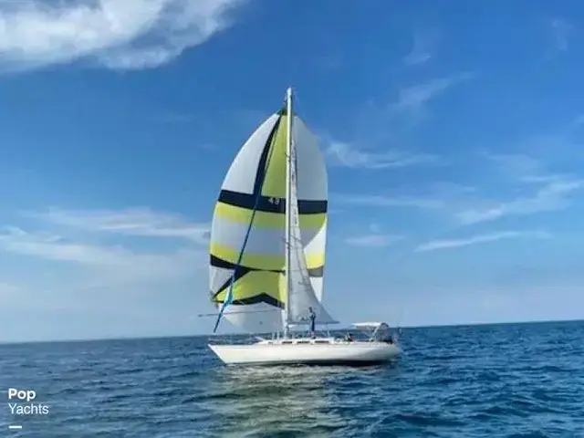 Catalina 38