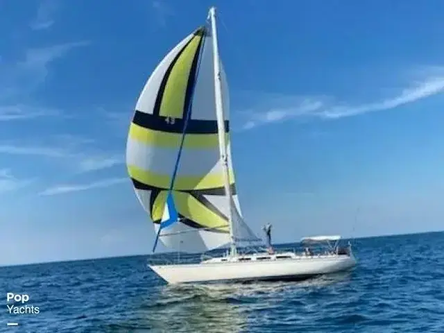 Catalina 38