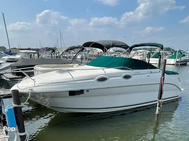 Sea Ray 240 Sundancer