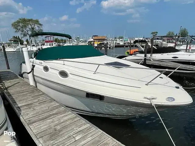 Sea Ray Sundancer 240