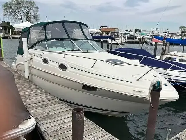 Sea Ray 240 Sundancer