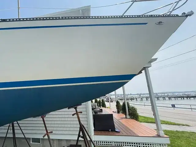 Catalina 38