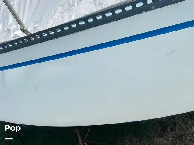 Catalina 38