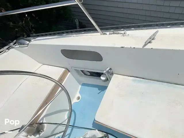 Catalina 38